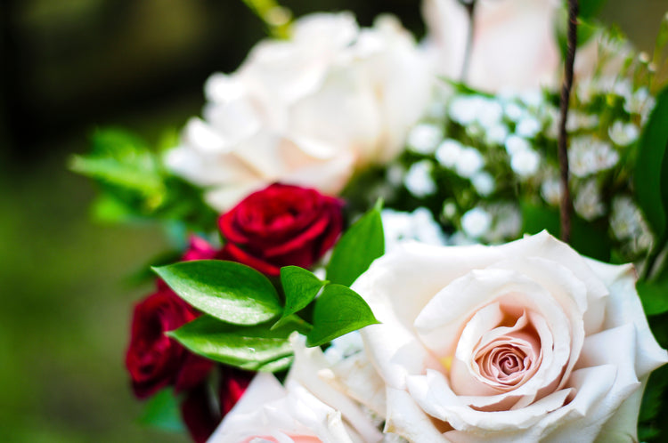 Close-up of blush and burgundy roses with baby's breath